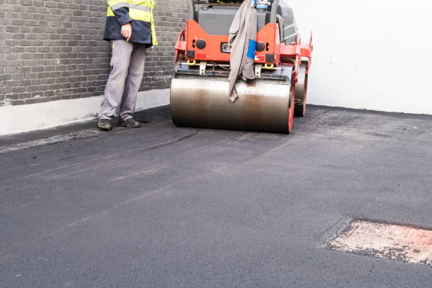 Driveway Pressure Washing in Parksdale, CA